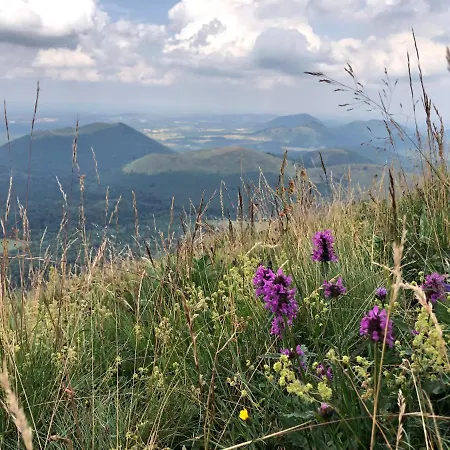 Zone Bleue Bed & Breakfast