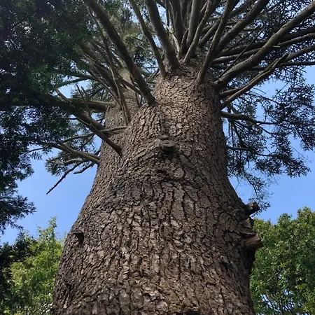 Bed & Breakfast Zone Bleue Hyds