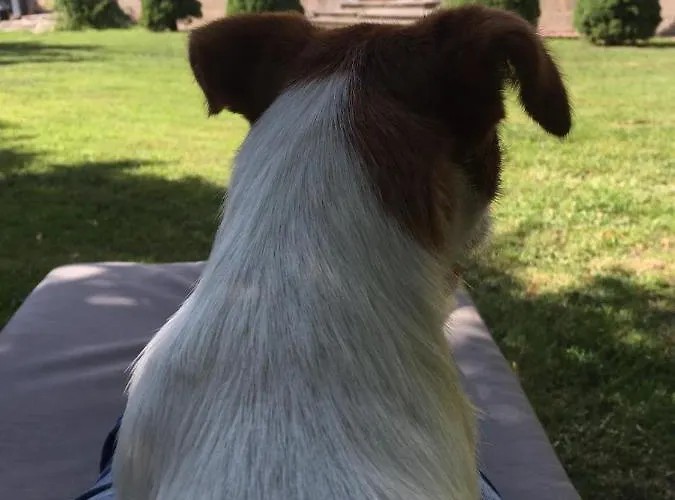 Zone Bleue Отель типа 