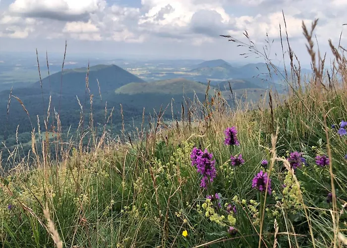 Zone Bleue Bed & Breakfast