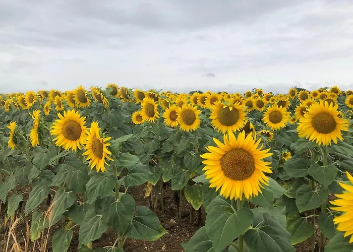 Bed & Breakfast Zone Bleue Hyds