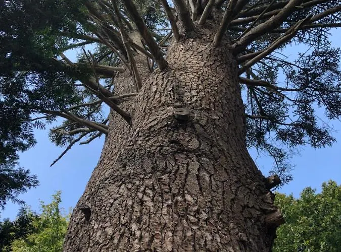 Bed & Breakfast Zone Bleue Hyds